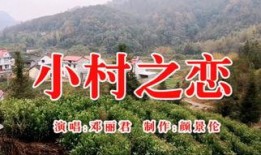 村在线观看,揭秘农村生活新视角